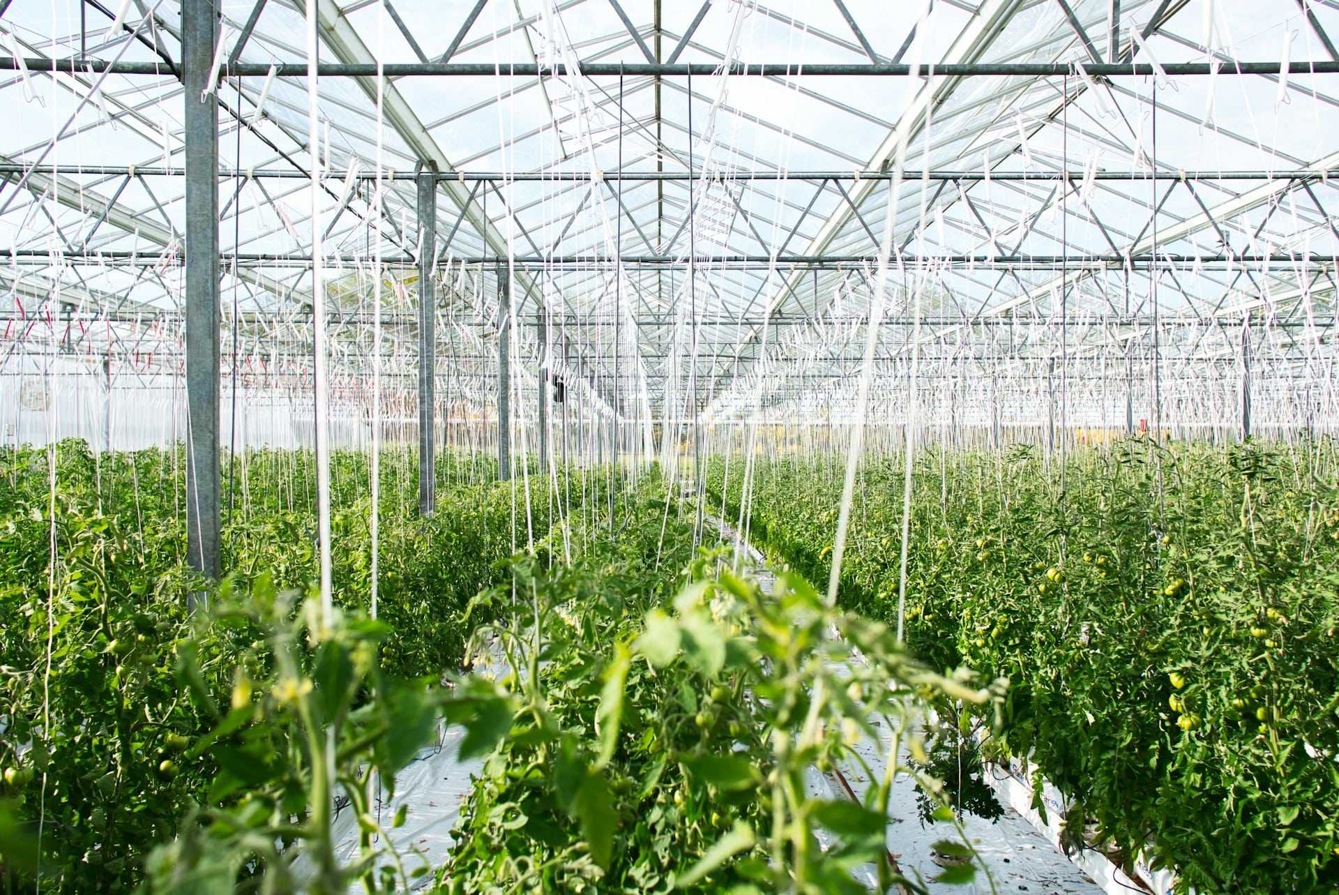green-house-post